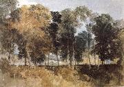 Forest William Turner